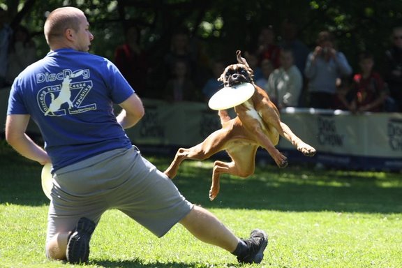 20090614_3170.JPG